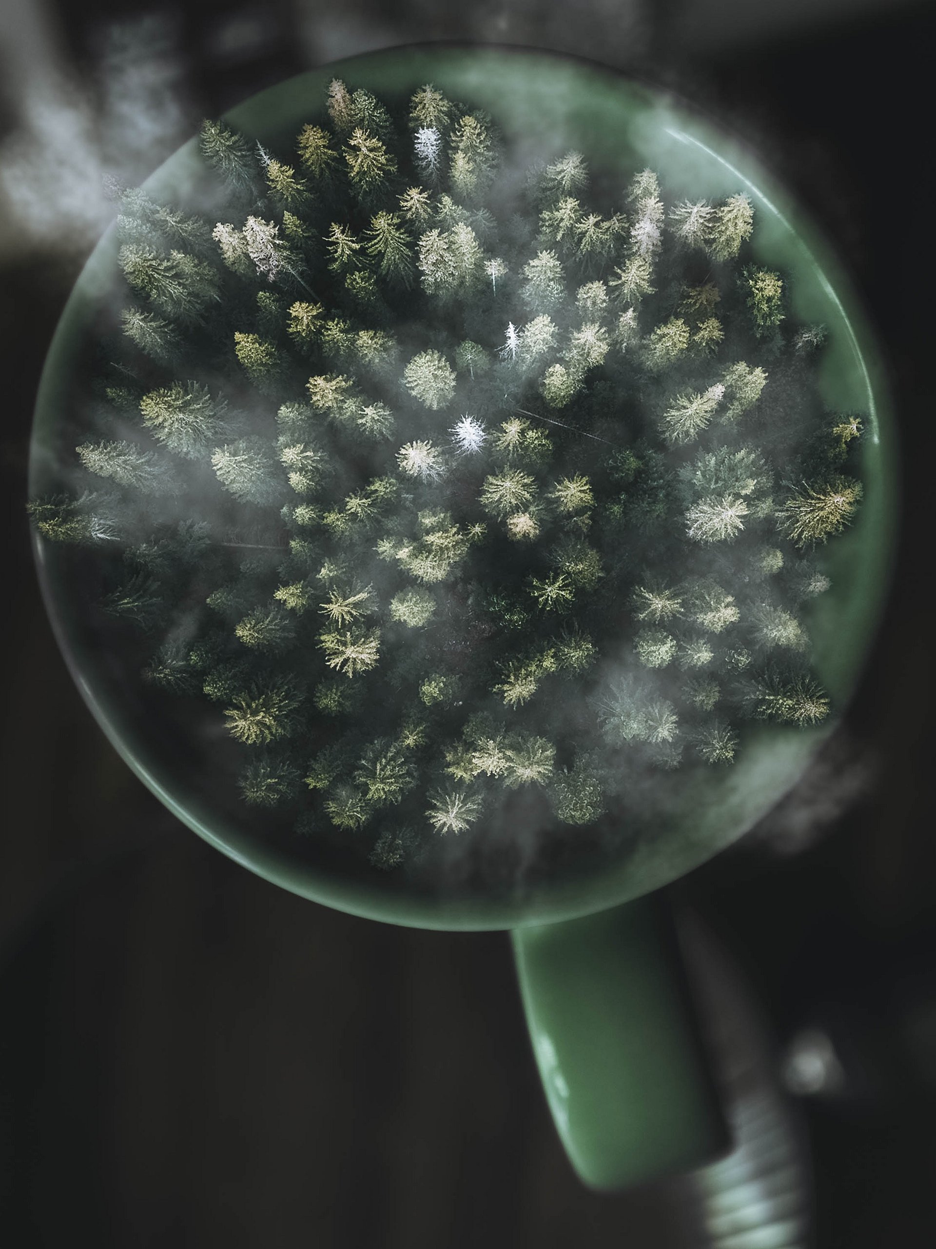 Cup O' Tree product image (1)