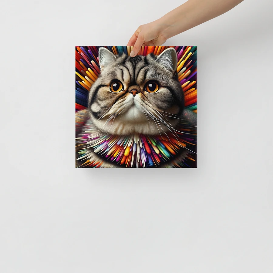 Canvas (in): Exotic Shorthair product image (14)