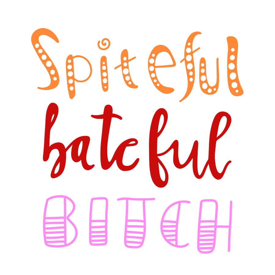 Spiteful Notebook product image (5)