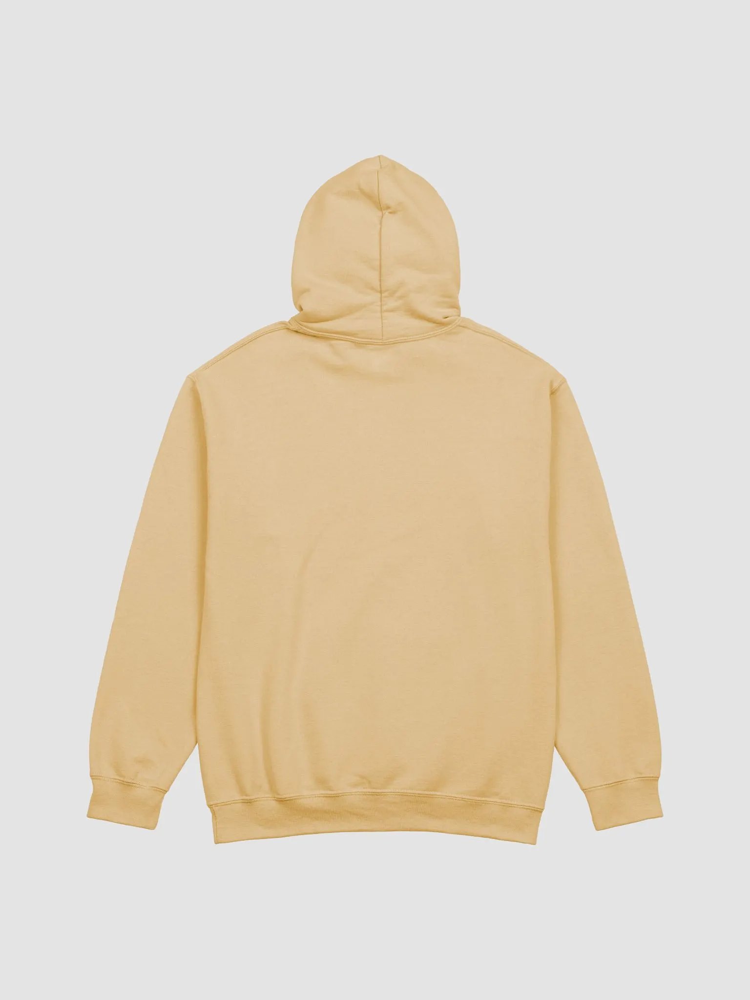 Rick Davoice SHINE Hoodie product image (2)