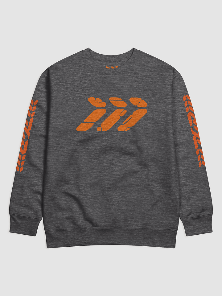 III SWEATSHIRT product image (1)