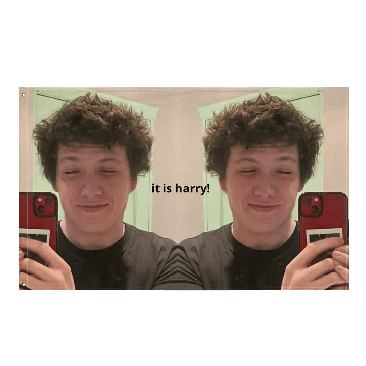 it is the harry flag product image (1)