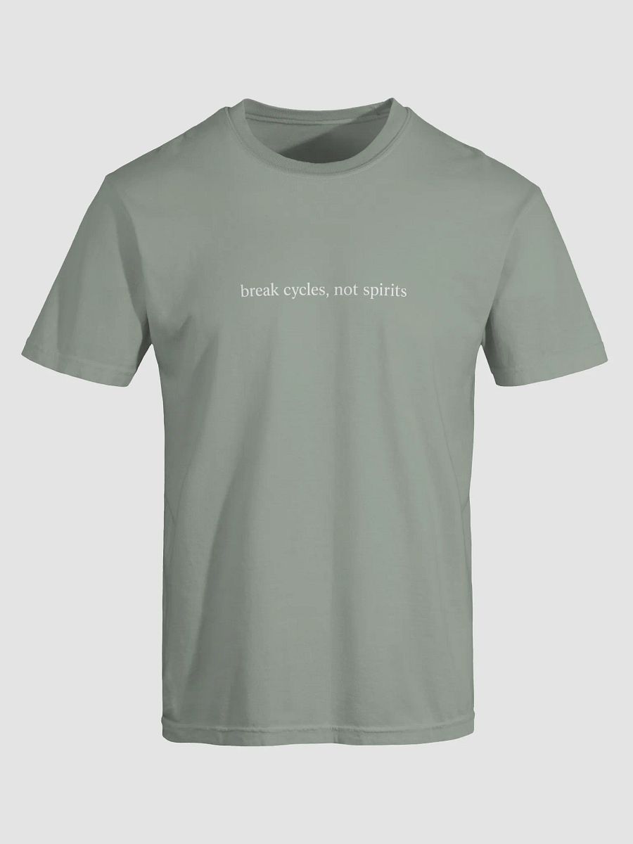 Break Cycles Not Spirits Tee product image (2)