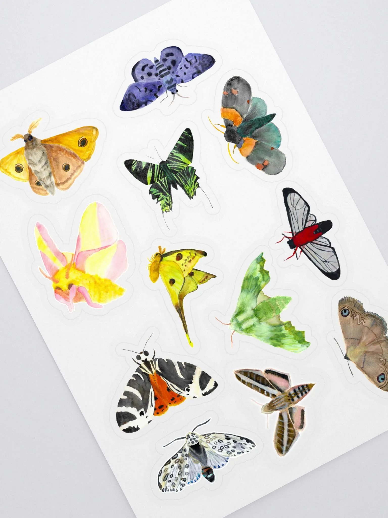sticker pack product image (1)