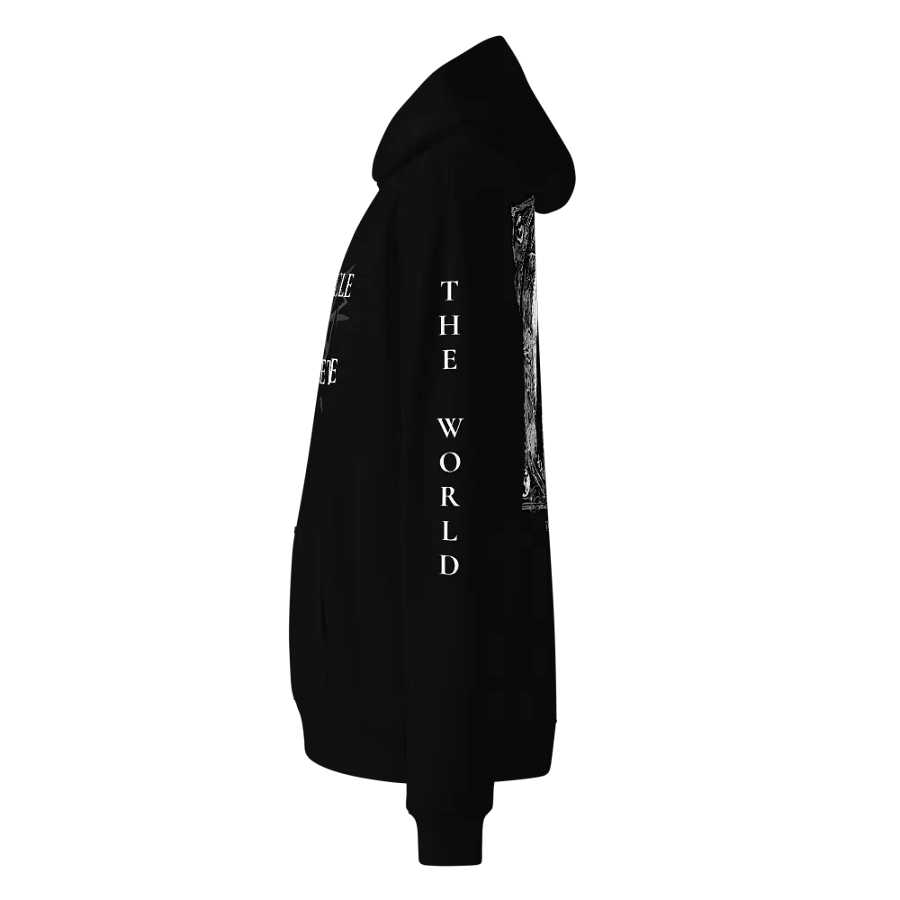 21 - The World Oversized Hoodie product image (3)