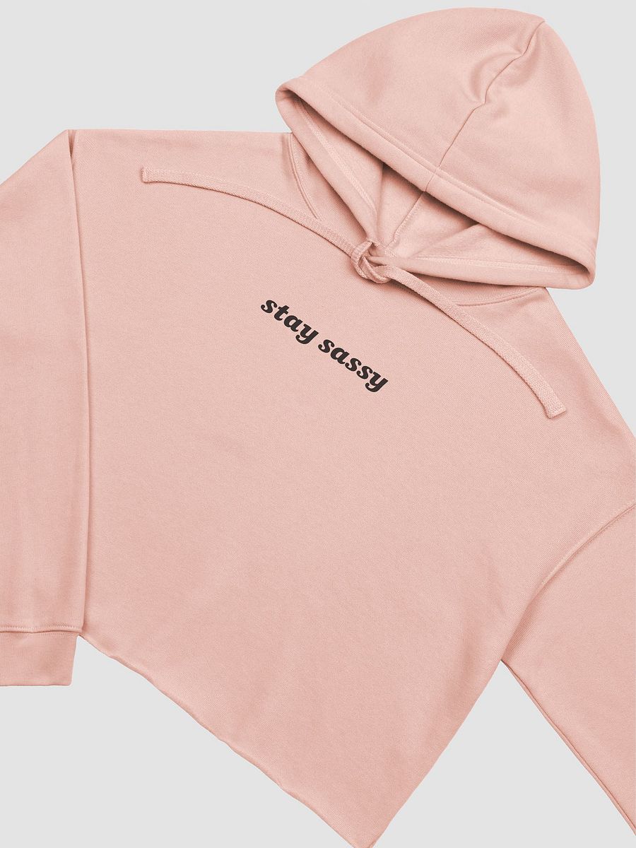 Stay Sassy Cropped Hoodie - Peach product image (3)