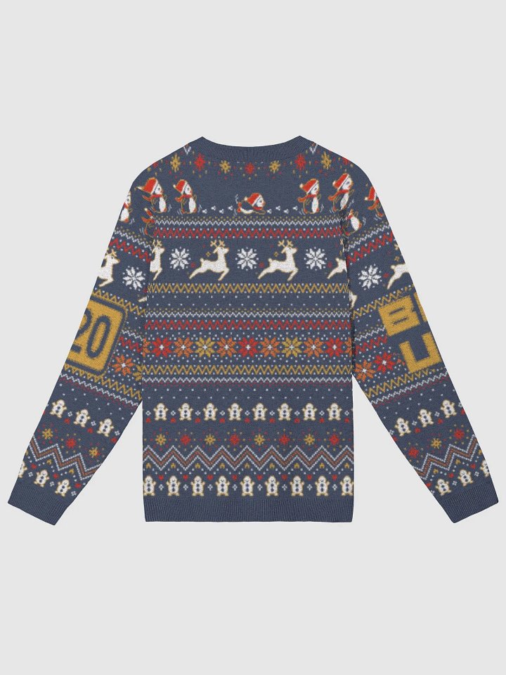 XD Sweater product image (2)