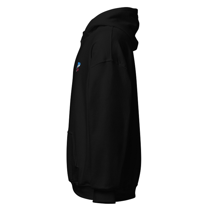 Embroidered Dolphin Hoodie product image (2)