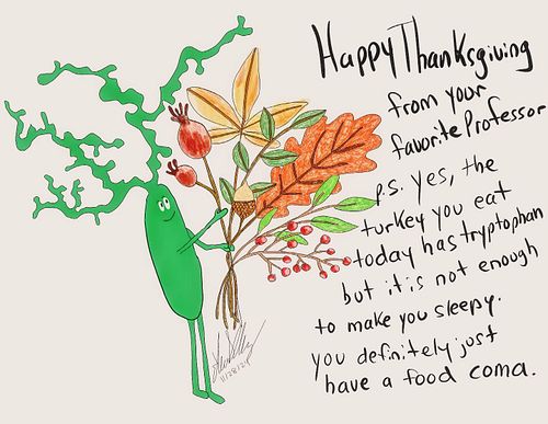 Happy Family Day

If you are spending time with friends and family today, live in the moment and make some memories. 

Best
D...