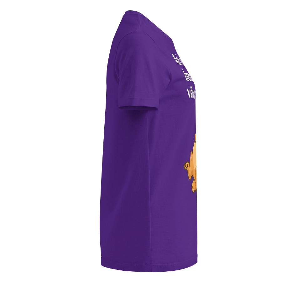 Chasing Sleep Cat Women's Tee product image (4)
