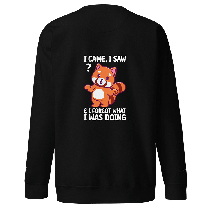 FORGOTTEN Panda Long Sleeve product image (1)