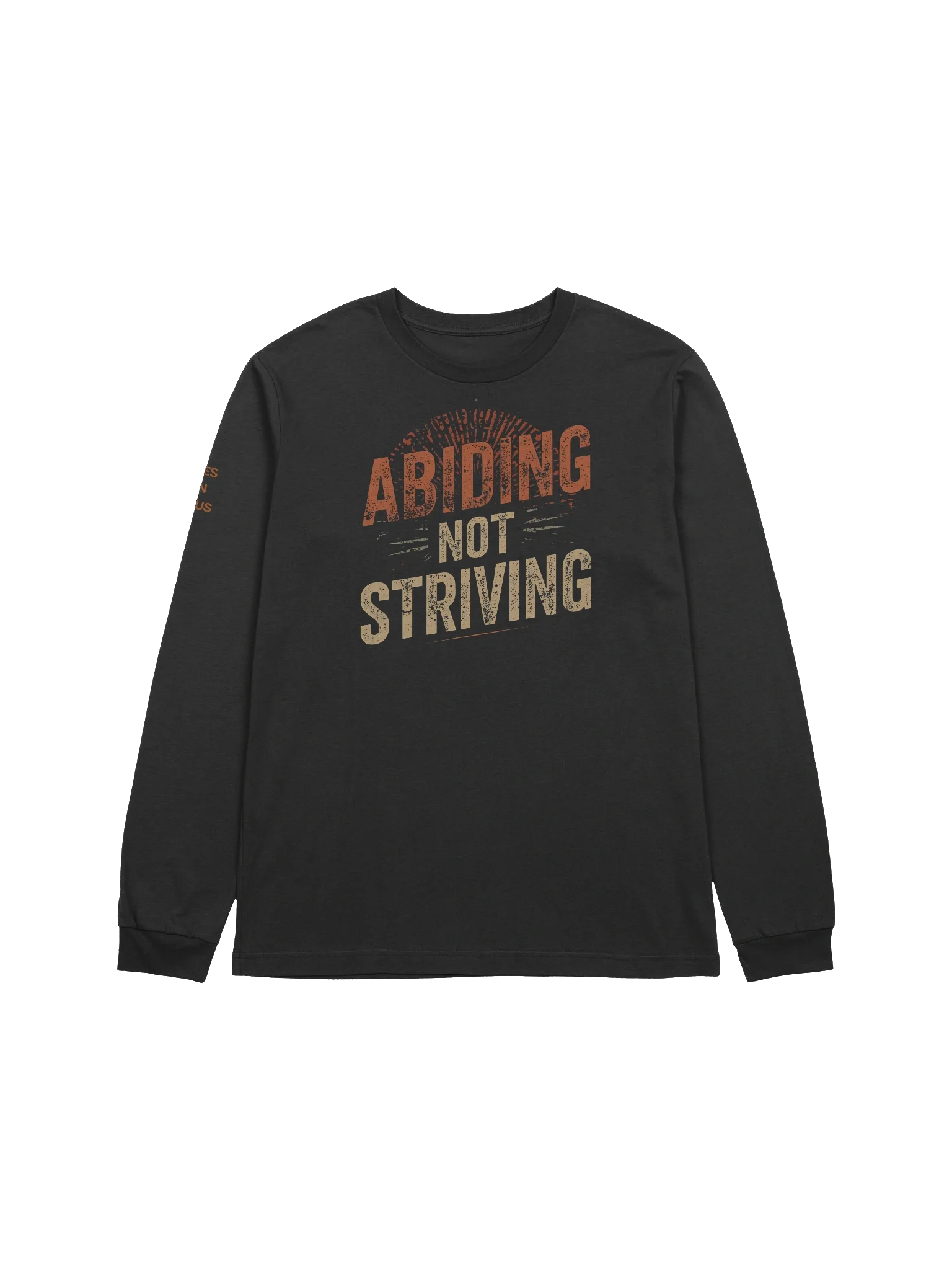 Abiding Not Striving Long Sleeve Tshirt product image (7)