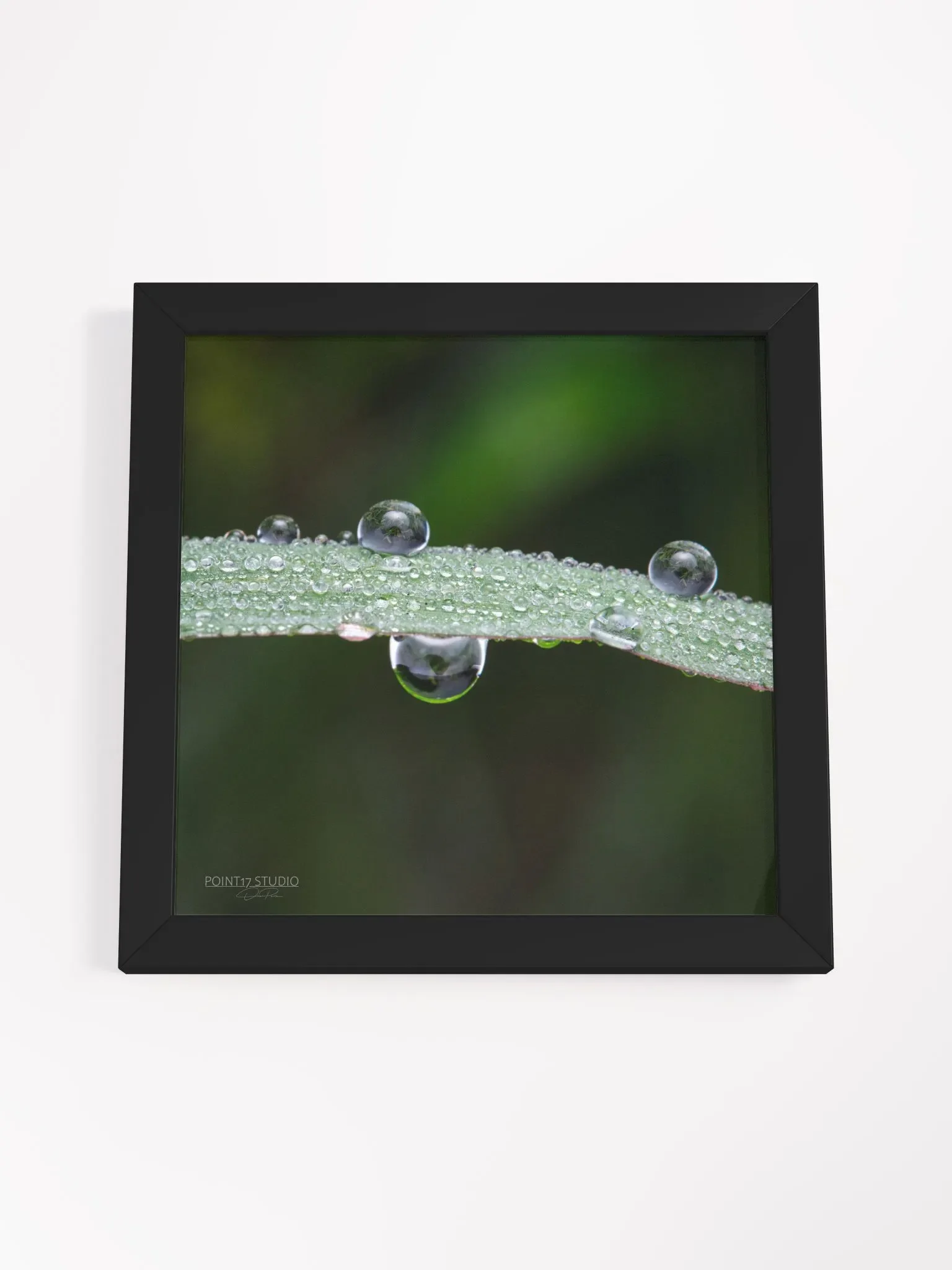 Dew Gems #7 - Framed Print product image (4)