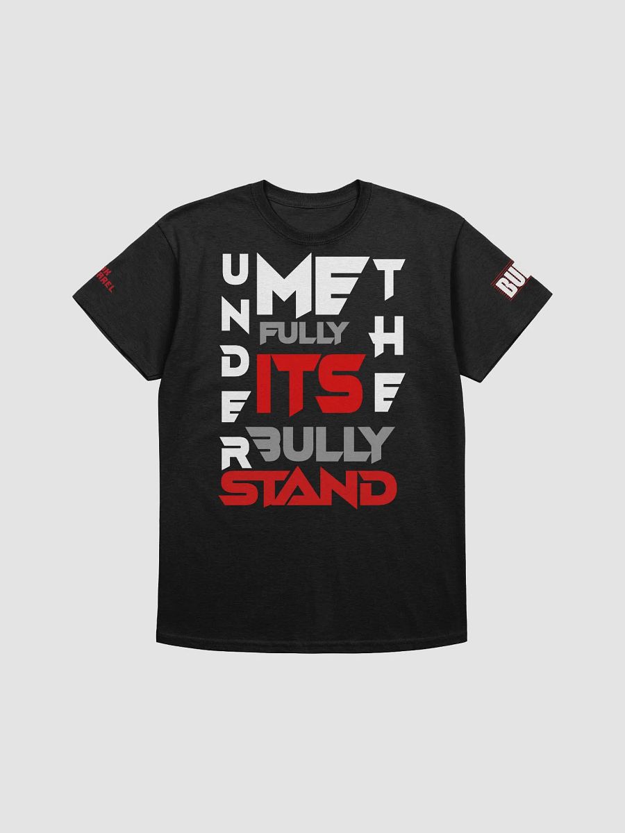 UNDERSTAND FULLY (T-SHRIT ) product image (1)