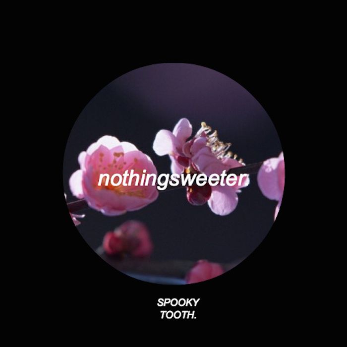"NothingSweeter.: Deluxe Edition" - 2X Digital LP product image (1)