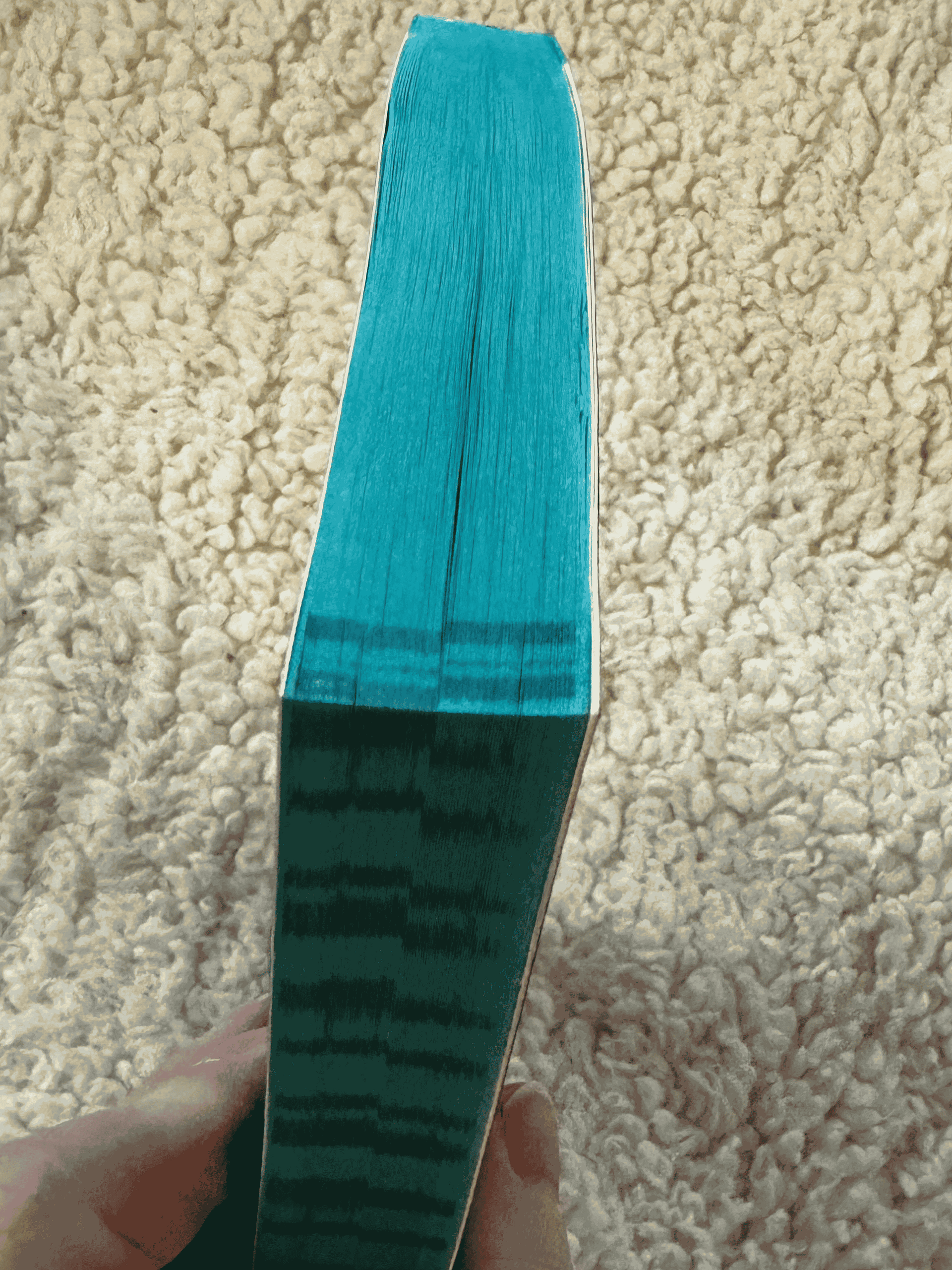 13 TO LIFE Special Limited Edition 13 to Life with Teal Page Edges product image (4)
