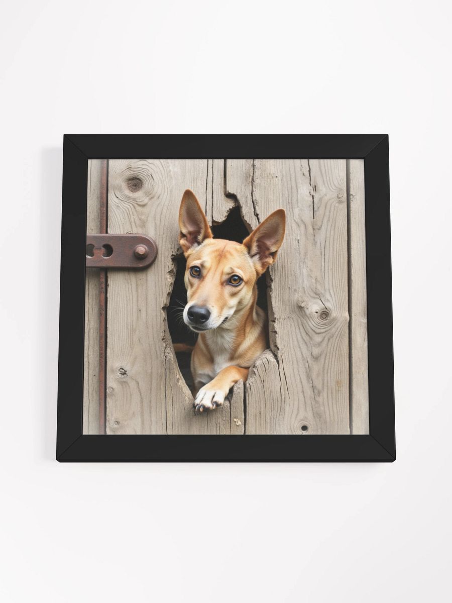 Rustic Wood Fence Peeker Framed Print product image (50)