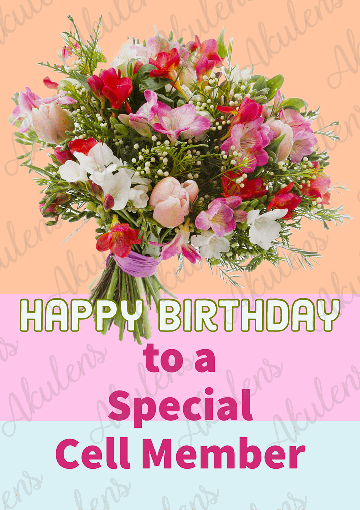 Akulens Orange Pink Happy Birthday Cell Member product image (1)