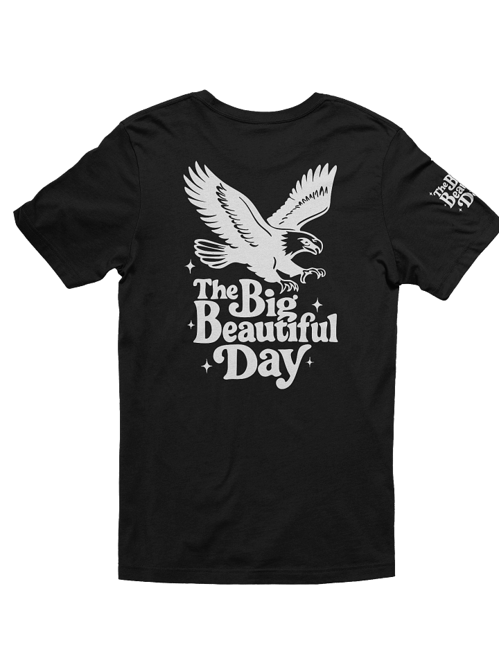 Soaring Big Beautiful Day Tee | Bella+Canvas product image (2)