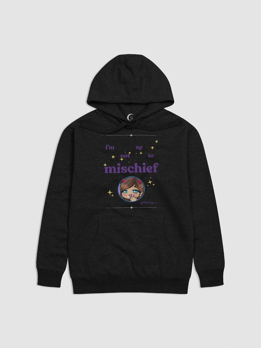 Mischief maker hoodie product image (1)