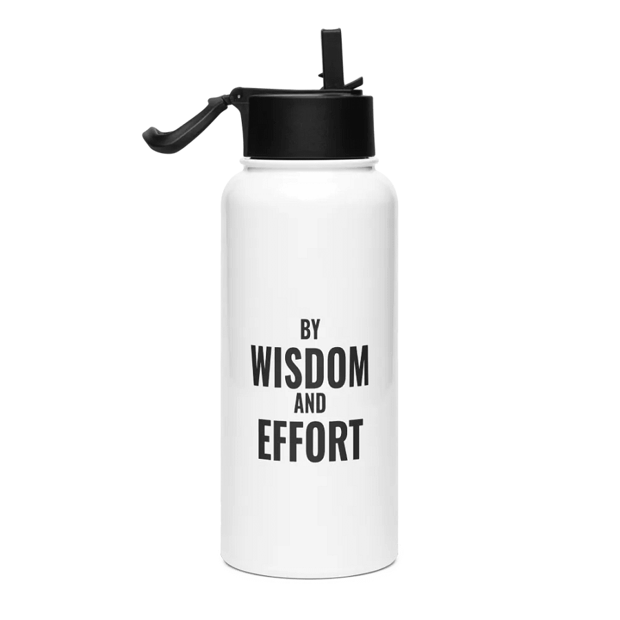 Stainless Steel Bottle product image (1)