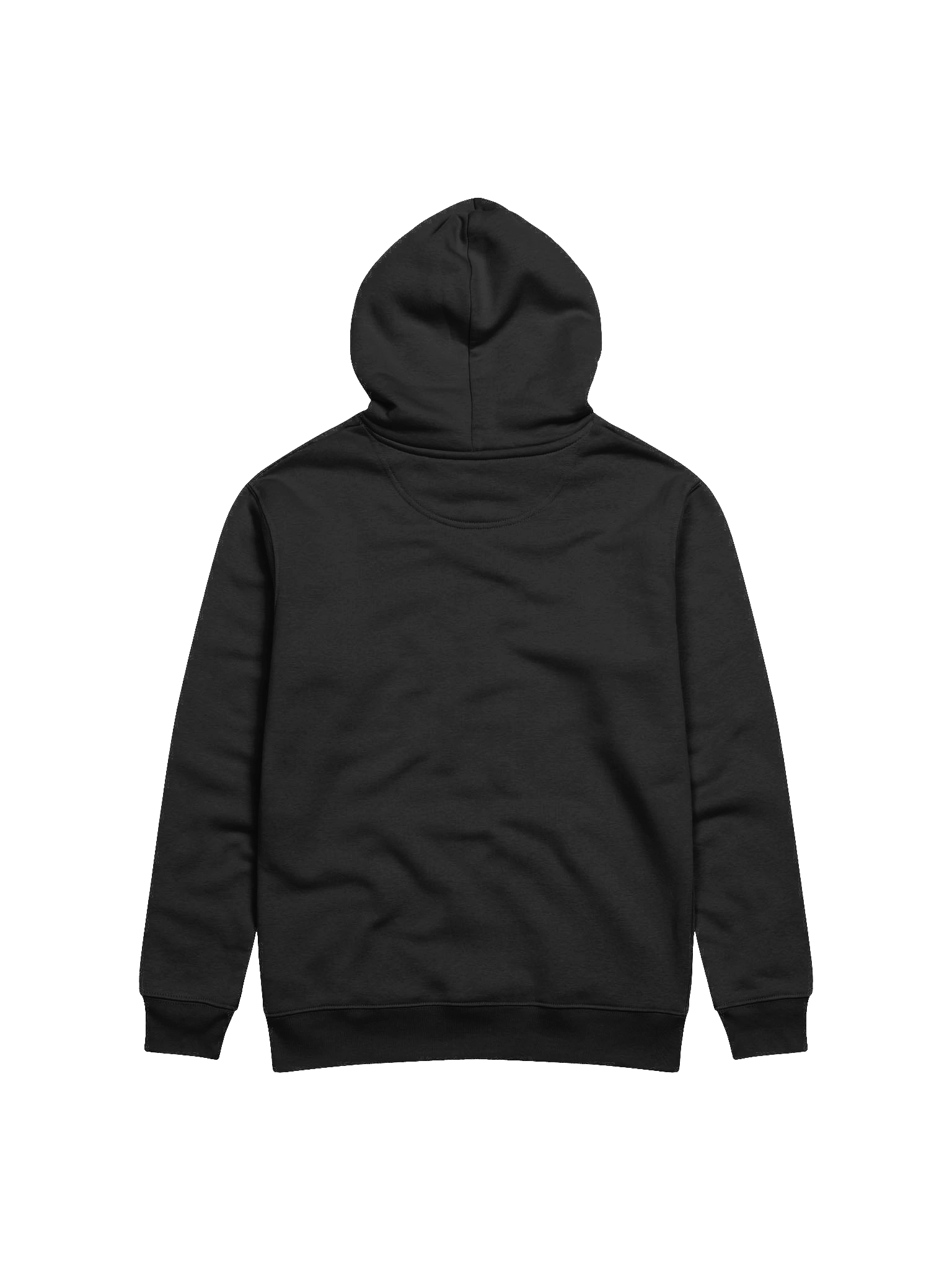 More Precious Than Jewel Hoodie product image (4)