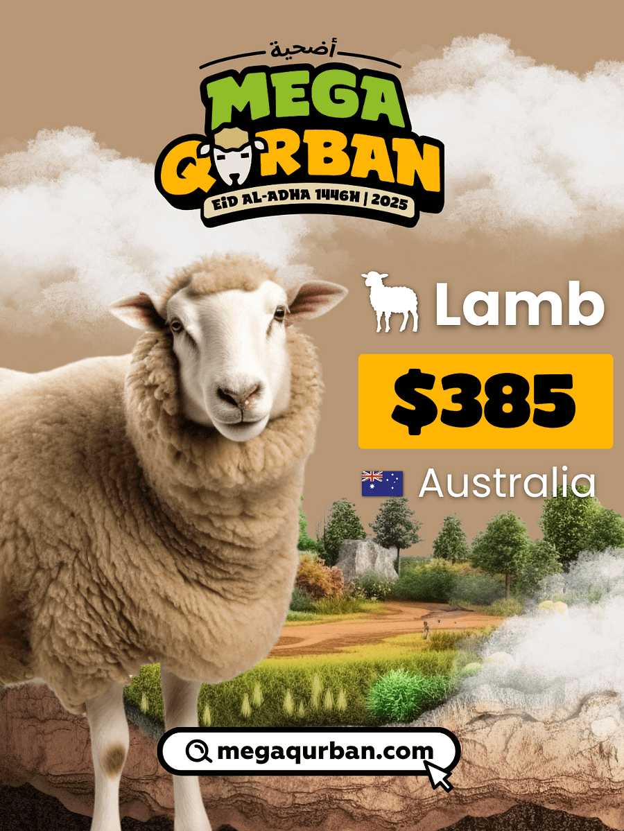 Lamb Australia - $385 product image (1)