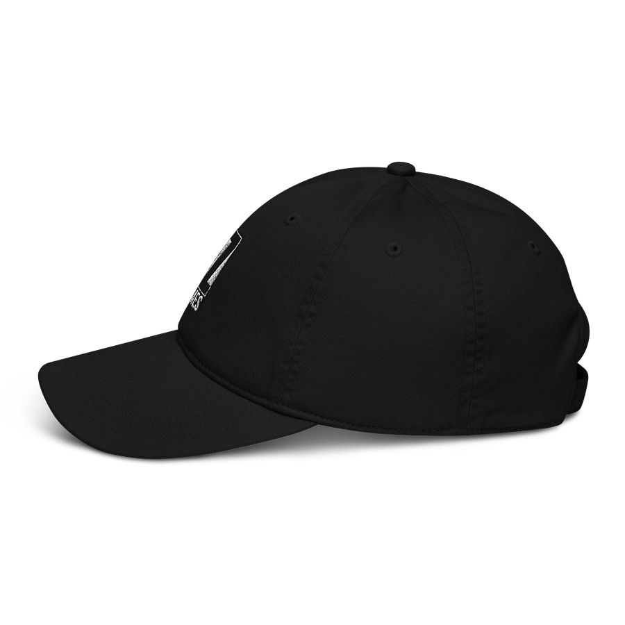 FZGAMES Dad Hat product image (7)