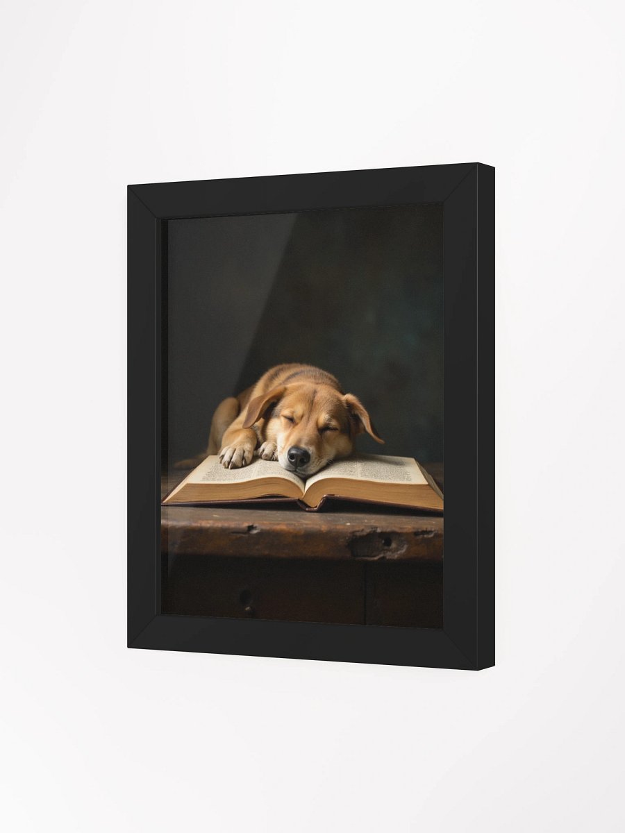 Sleeping Potcake Framed Picture product image (32)