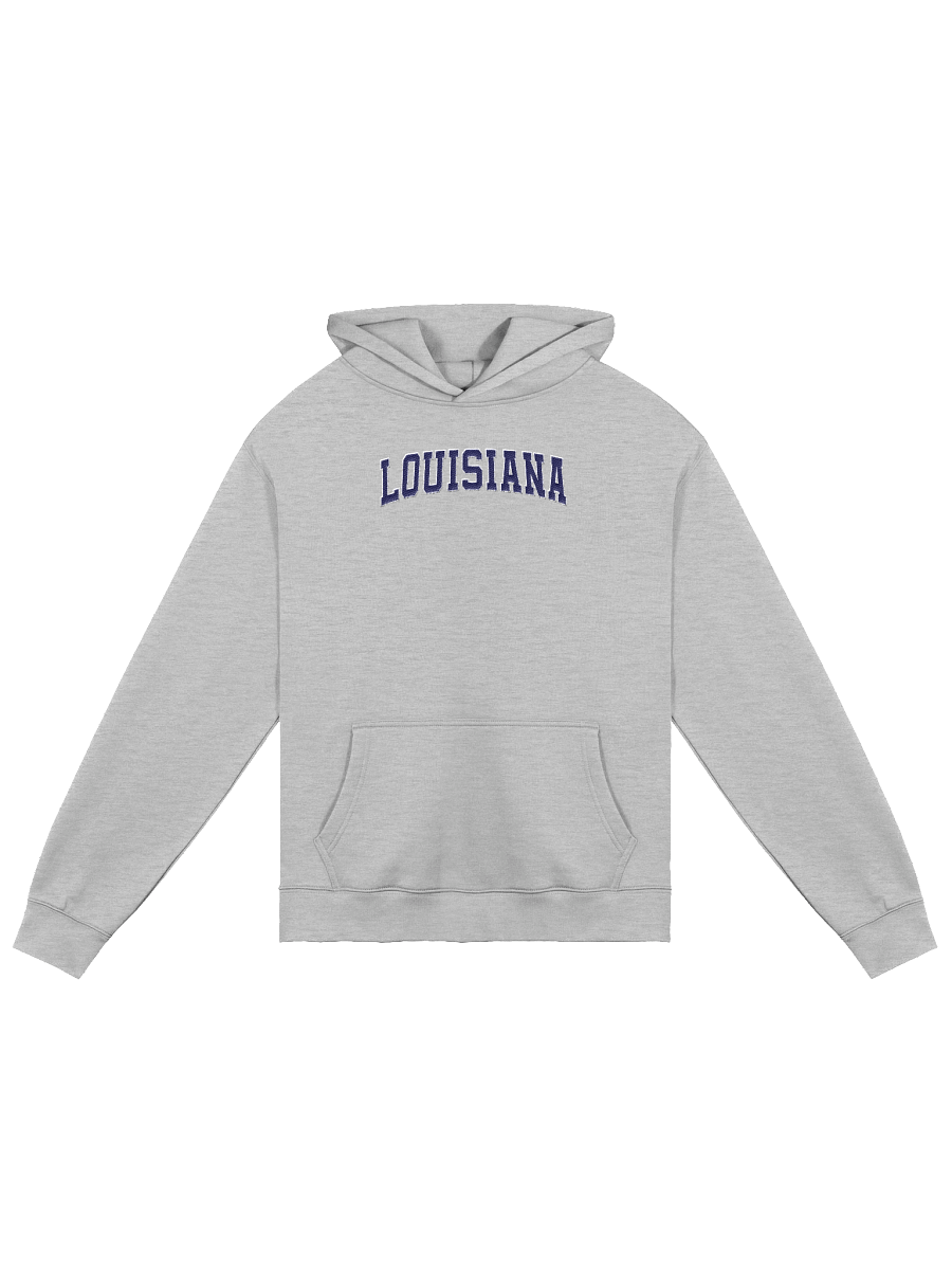 Louisiana Vintage Stylish Embroidery Unisex Premium Oversized Hoodie product image (2)