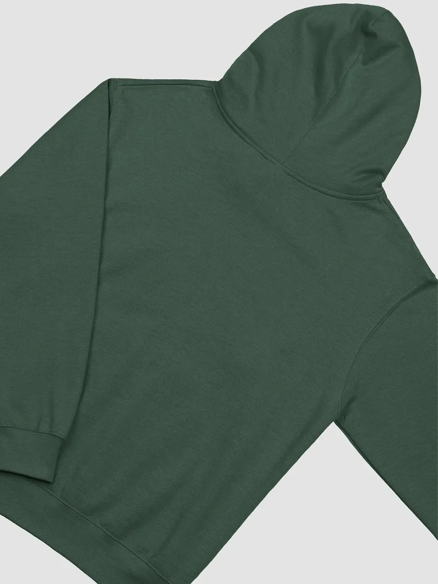 BPL Pride Midweight Hoodie product image (35)