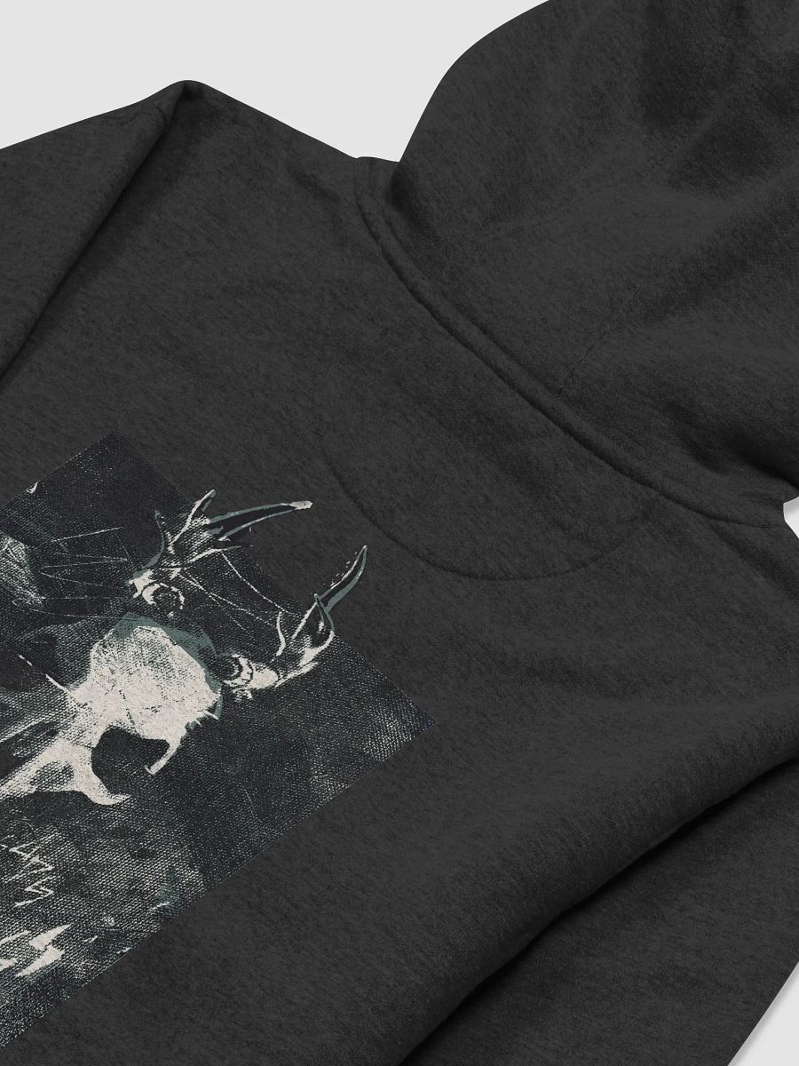 Zyrachi Hoodie product image (46)