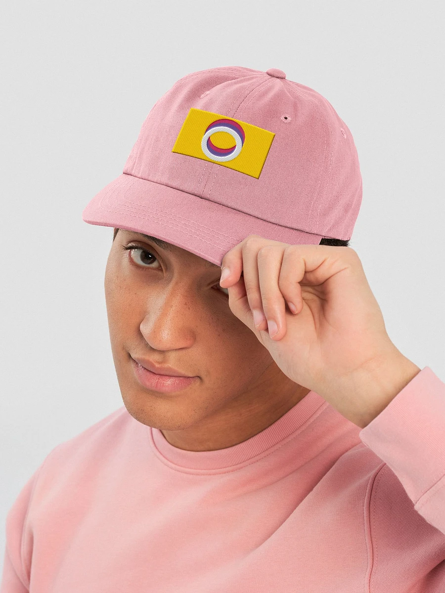Nonpolar Nonbinary Pride Flag - Embroidered Hat product image (5)