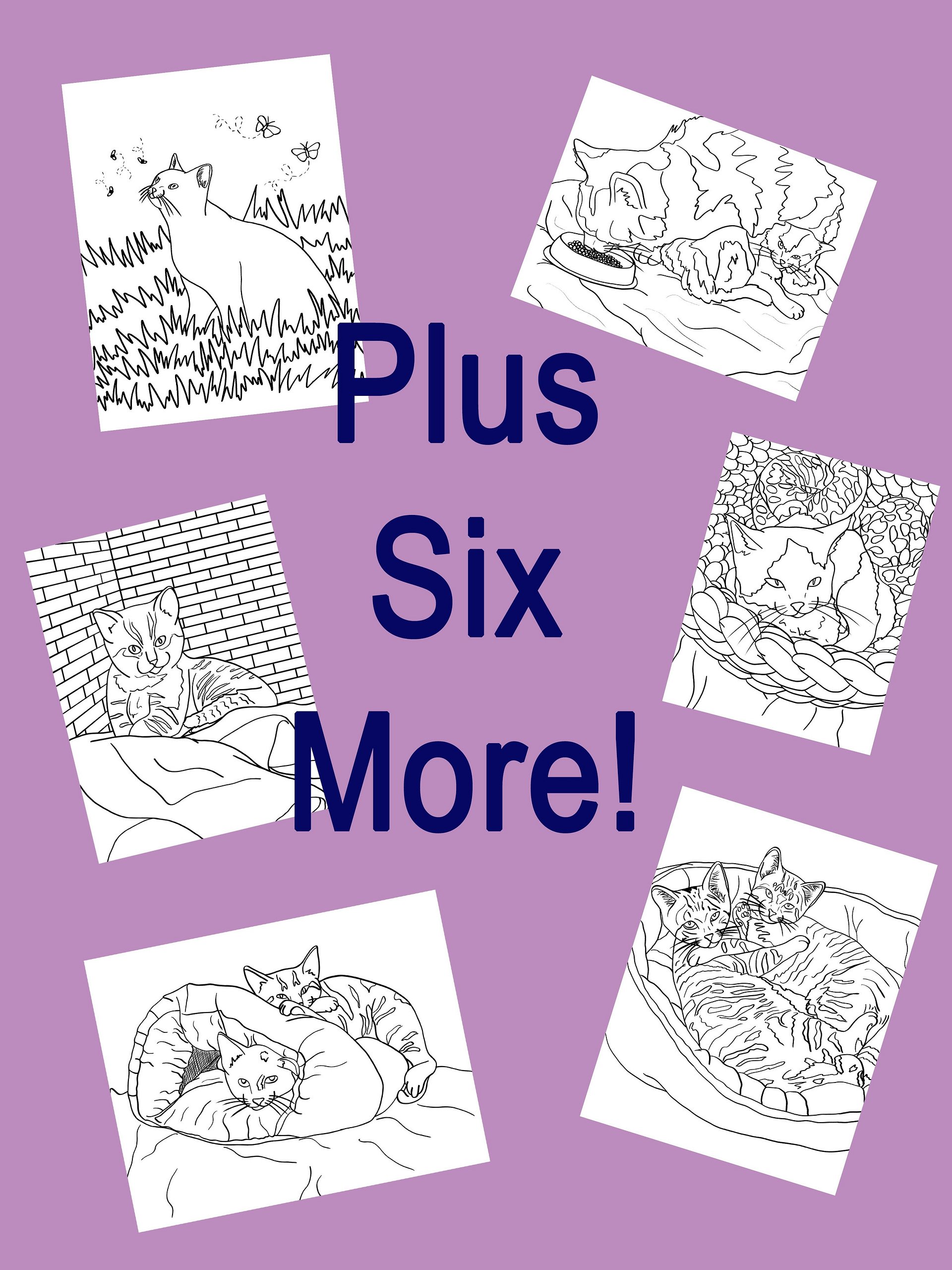 Cats & Kittens Coloring Book - 12 Pages product image (4)