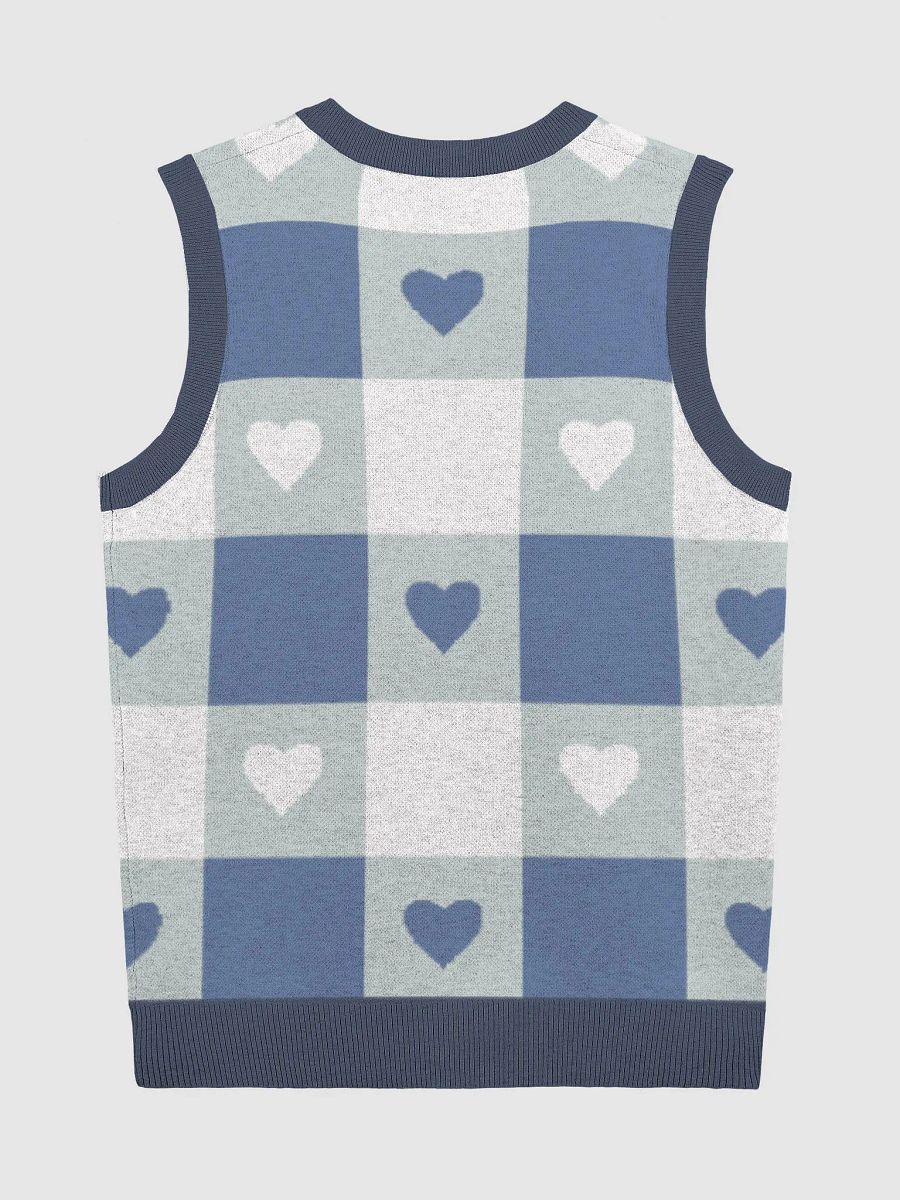 TeddyChan Plaid Vest - Blue product image (10)