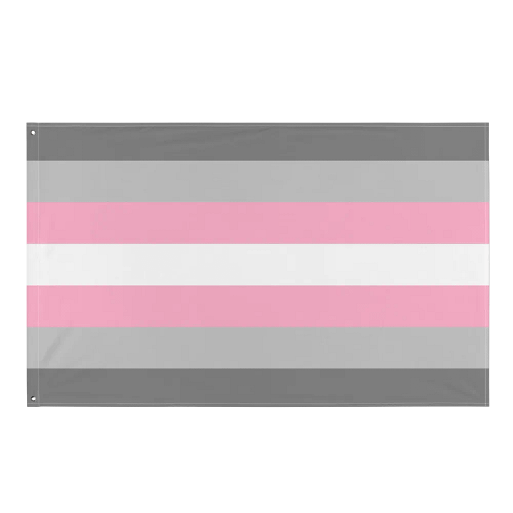 Demigirl Pride Flag product image (1)
