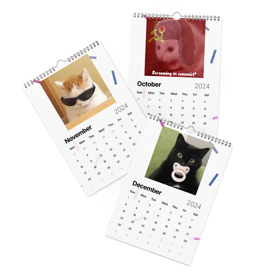 Wall Calendar (2024): Meme Cats product image (17)