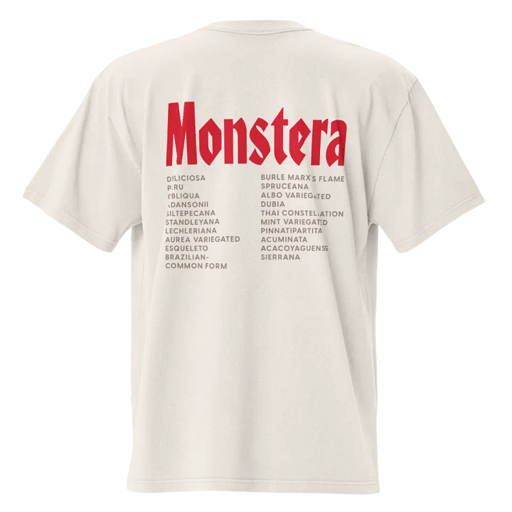 ⚡️ MONSTERA WORLD TOUR ⚡️ oversized tee product image (2)