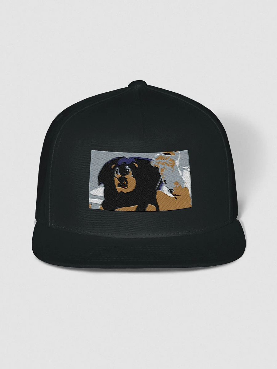 Sonic Hat but a lot of money product image (1)