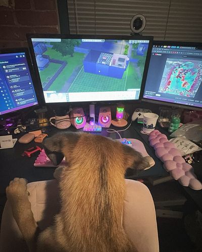 spoopy szn with the gamer pup