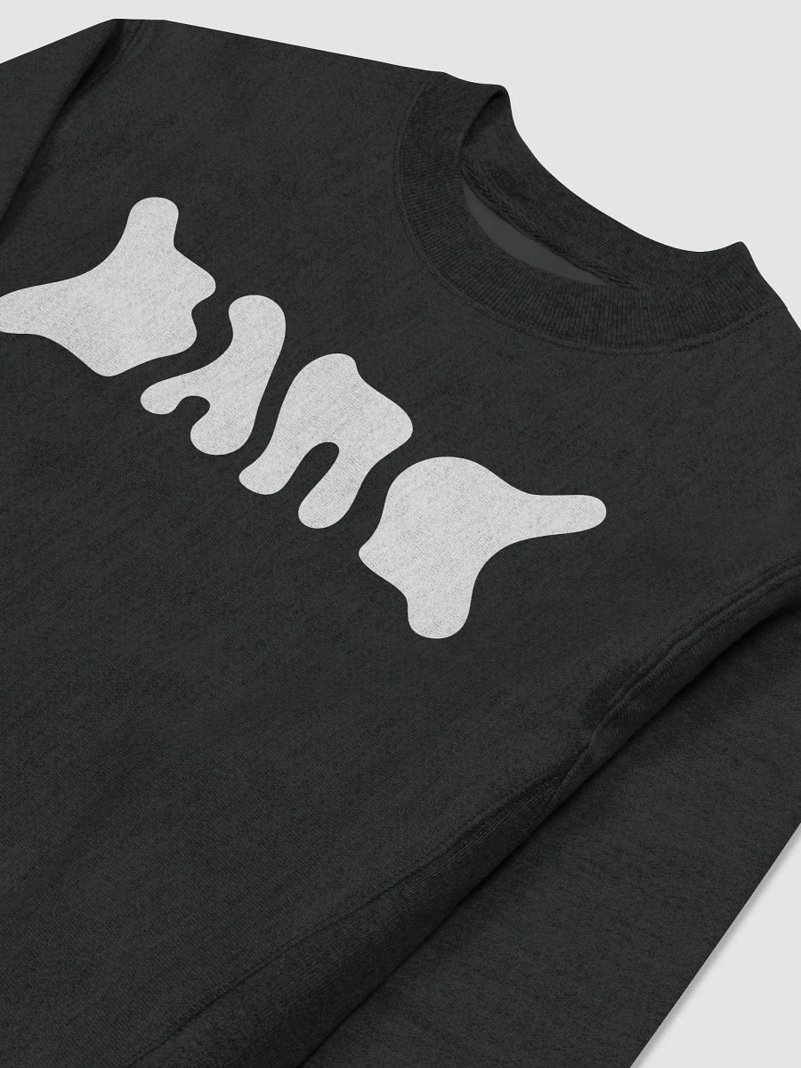 BAND Logo Champion Crewneck product image (3)