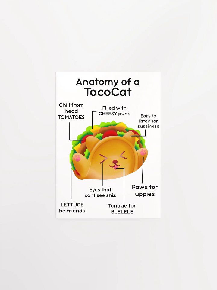 TacoCat Anatomy Poster product image (9)