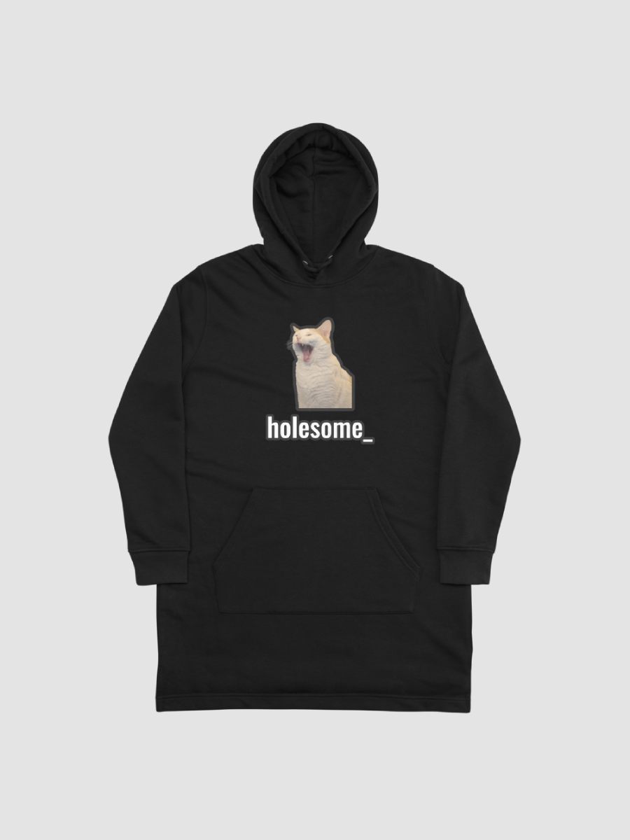 holesome Nico Hoodie Dress product image (1)