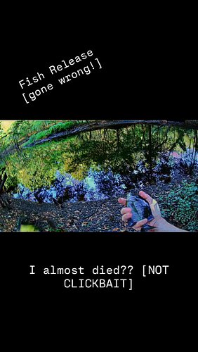 my favorite part is how I scrambled to the bank like I didn’t just slip into pleasantly cool, slow moving, and foot deep wate...