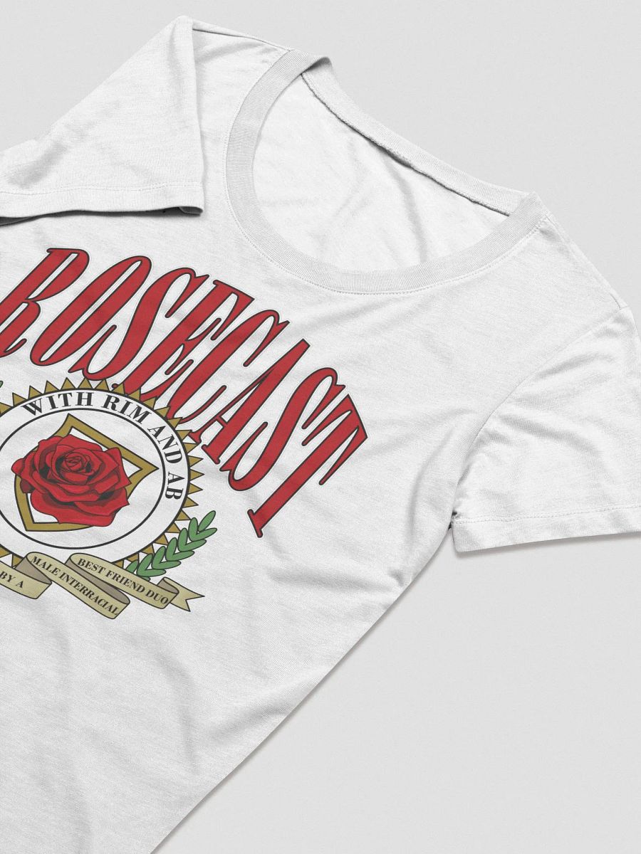 Vintage University T-Shirt (Women's Triblend) product image (3)