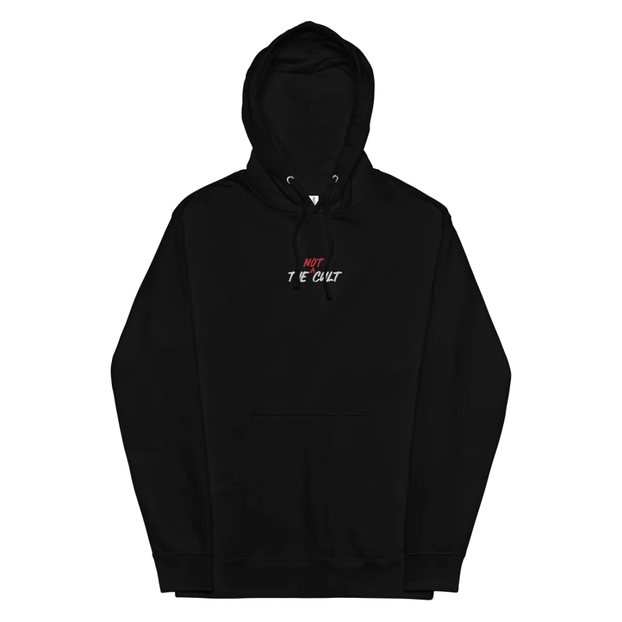 Not-Cult Embroidered Hoodie (DARK) product image (9)
