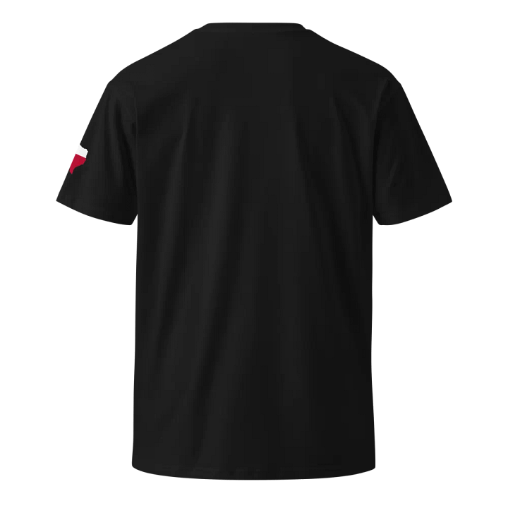 Official Austin DOC Mens Shirt product image (3)