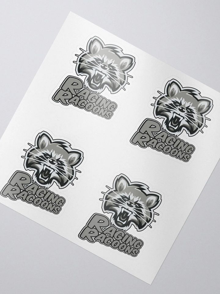 Raging Racoons Sticker Page product image (2)