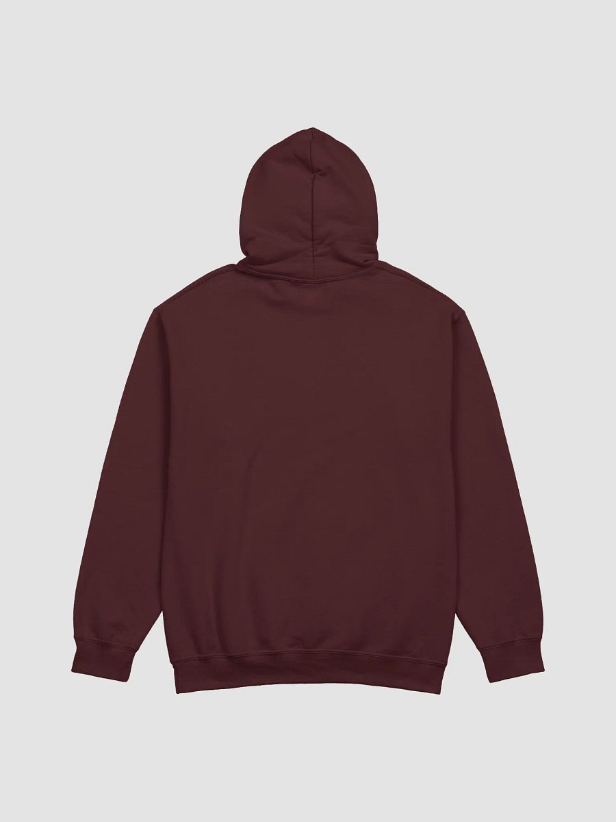 C33 Vintage Hoodie product image (19)