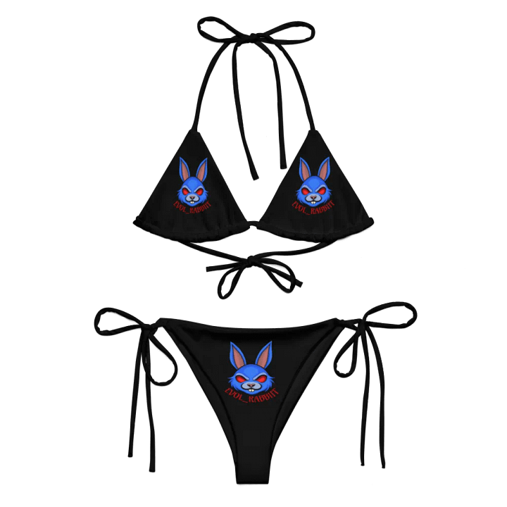 Evol Bikini product image (1)